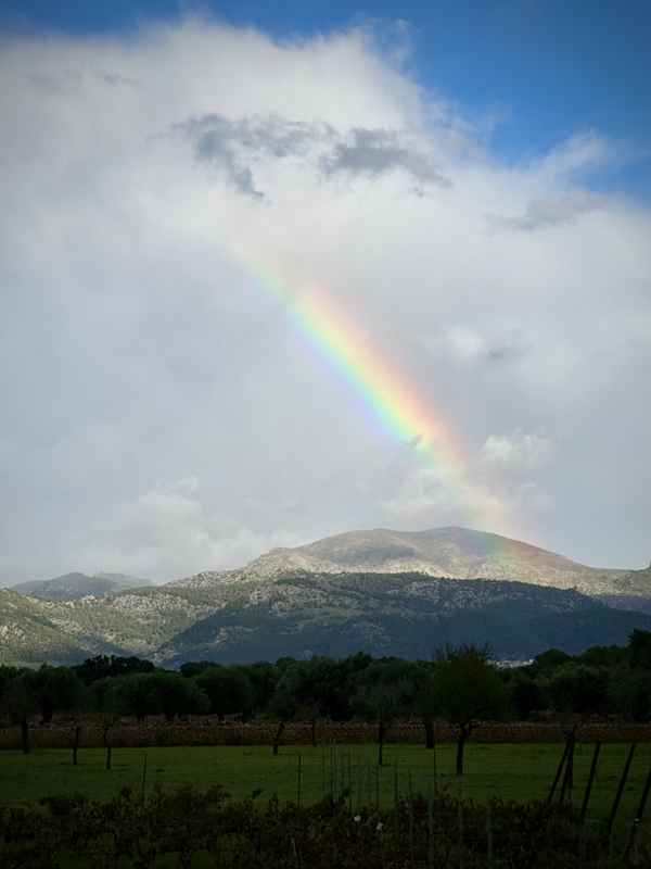 Regenbogen &uuml;ber Kr&uuml;nn