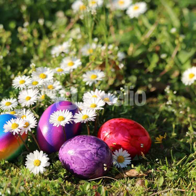 Frohe Ostern
