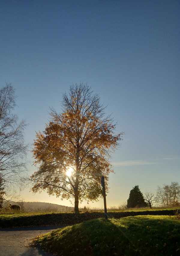 Herbst auf dem Michaelsberg