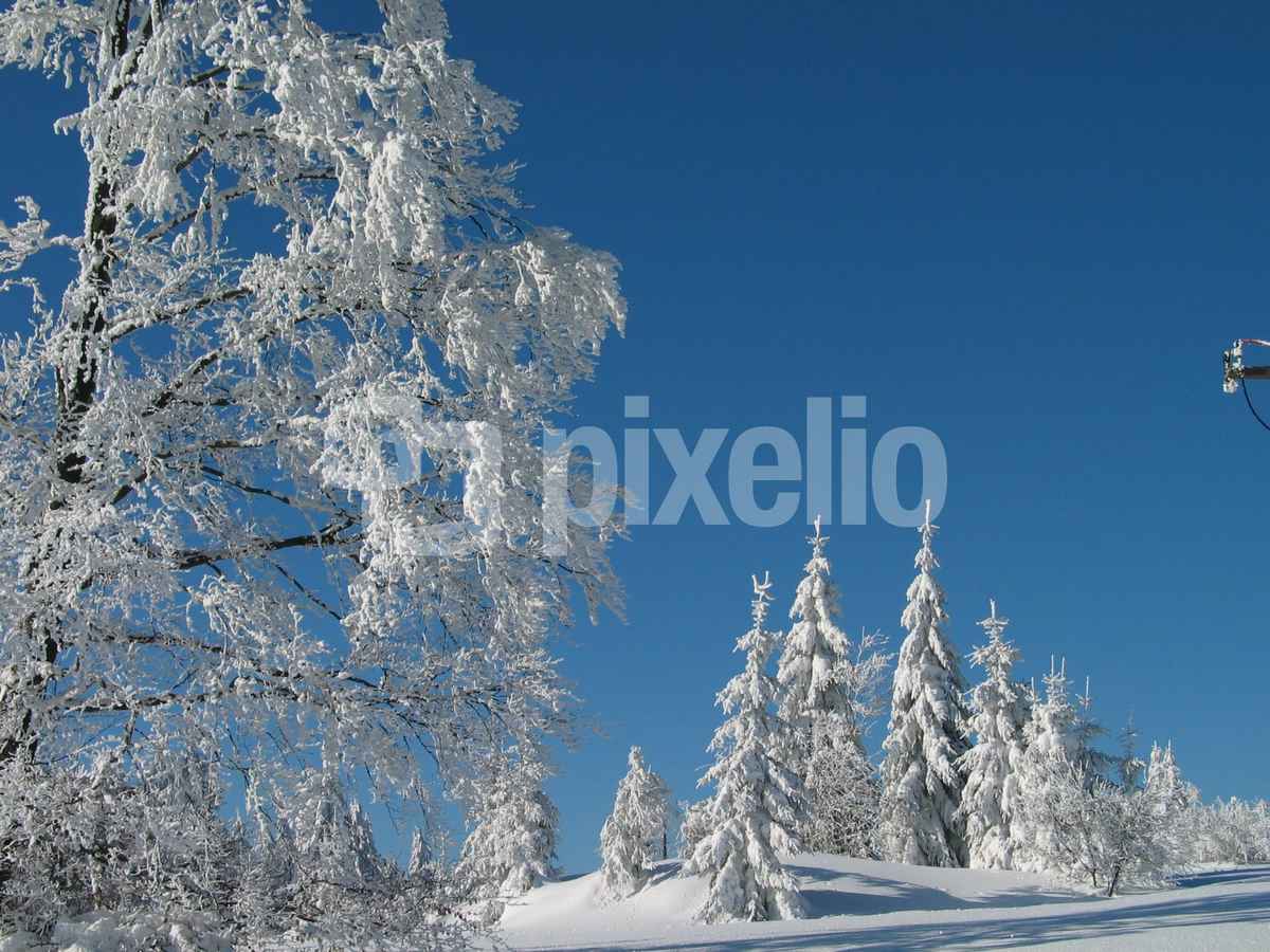 Schwarzwaldwinter_2
