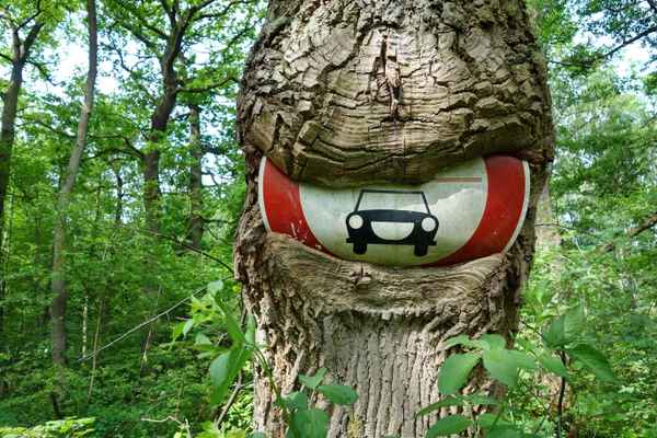 Die Natur holt sich´s zurück.