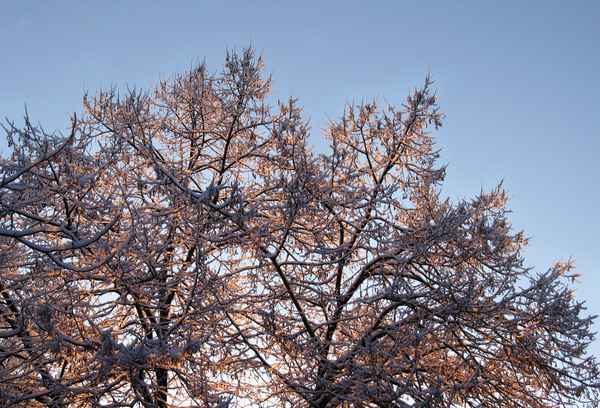 Winteraufgang 1/4