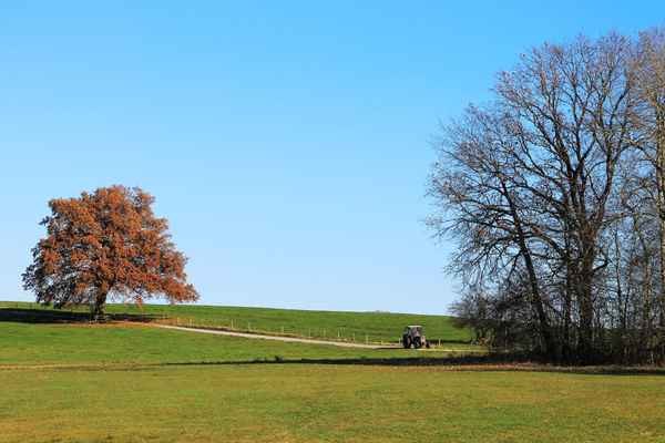 Ein bezauberndes Plätzchen 03