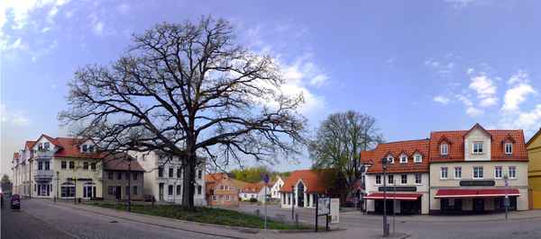 Goldener Brinken in Bergen auf Rügen