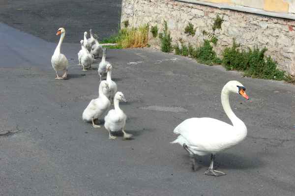 Familienausflug mit allen Neunen