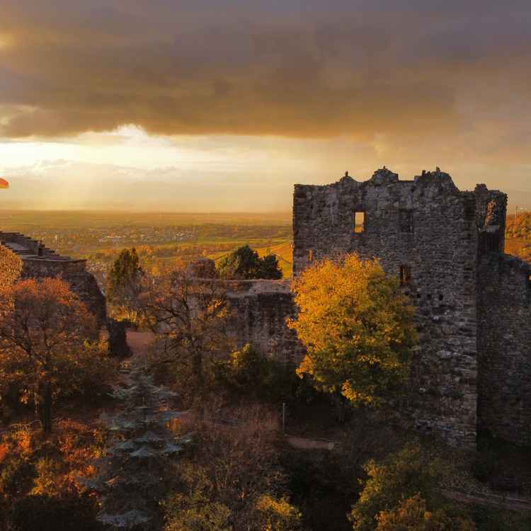 Burgruine Badenweiler