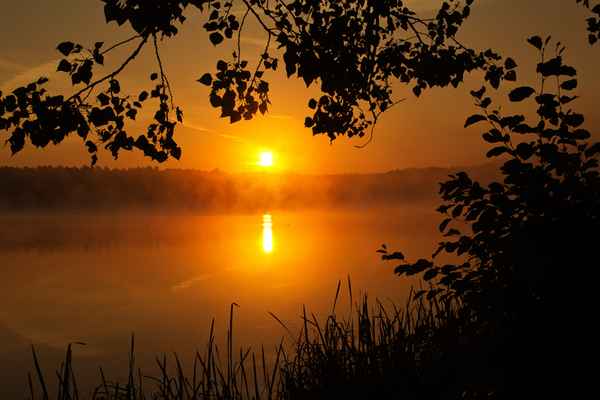 Herbstmorgen am Weiher