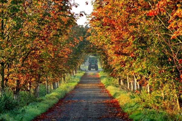 herbstmorgen