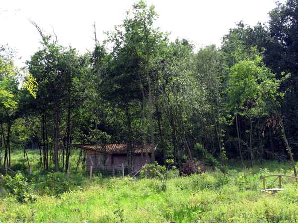 Kleine Hütte im Gehege