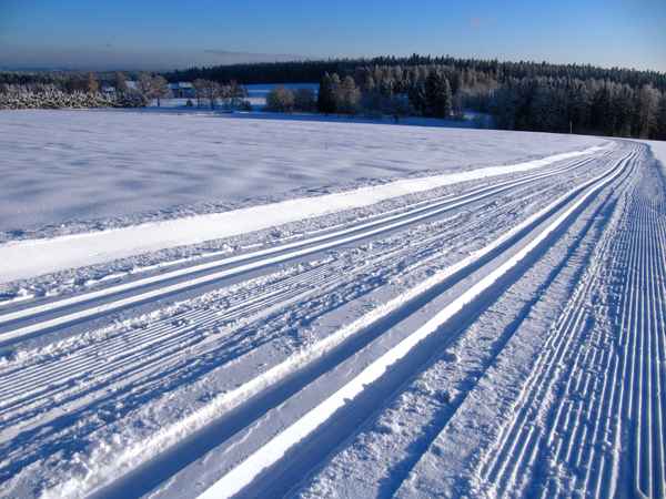 Langlauf in Wald und Feld 2