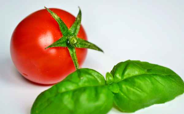 Tomate & Basilikum