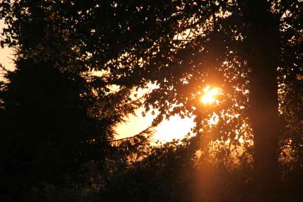 Sonnenuntergang am Rennsteig