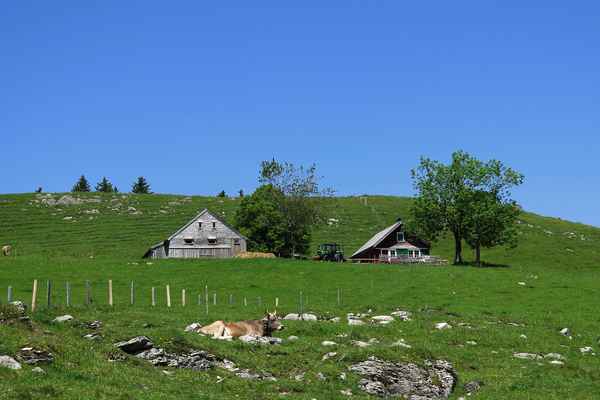 Auf dem Abstieg ins Tal