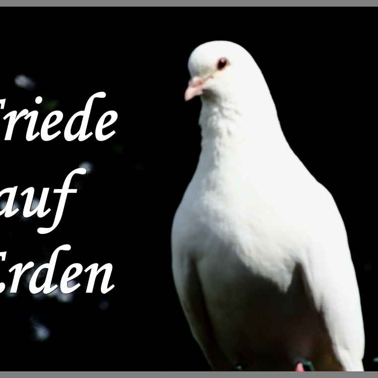Friede auf Erden