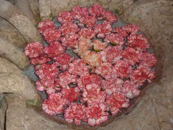 NORWEGIAN EPIC - KREUZFAHRT ÖSTLICHE UND WESTLICHE KARIBIK_48