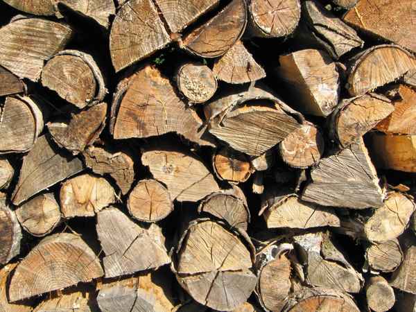 Der nächste Winter kommt bestimmt