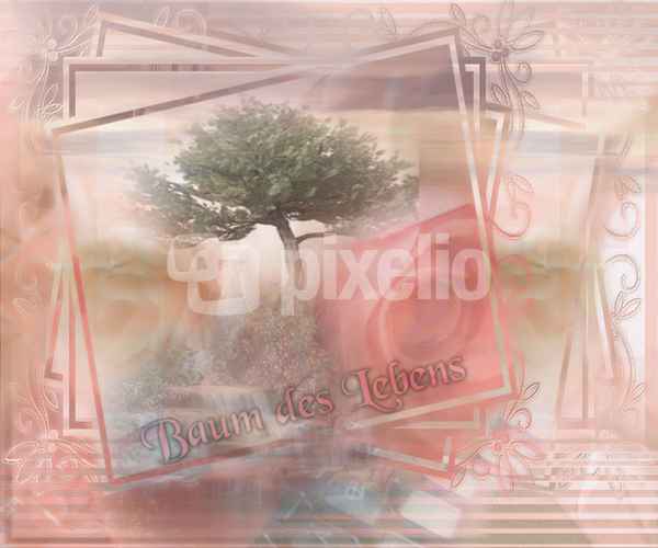 Baum des Lebens