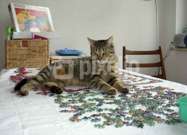 Du spielst mit mir!