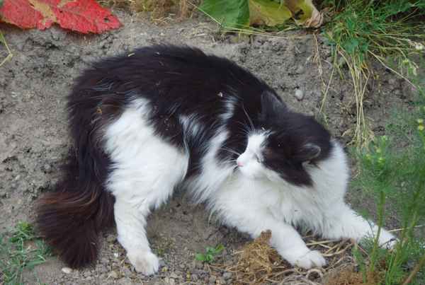 Bleiben oder Flucht?