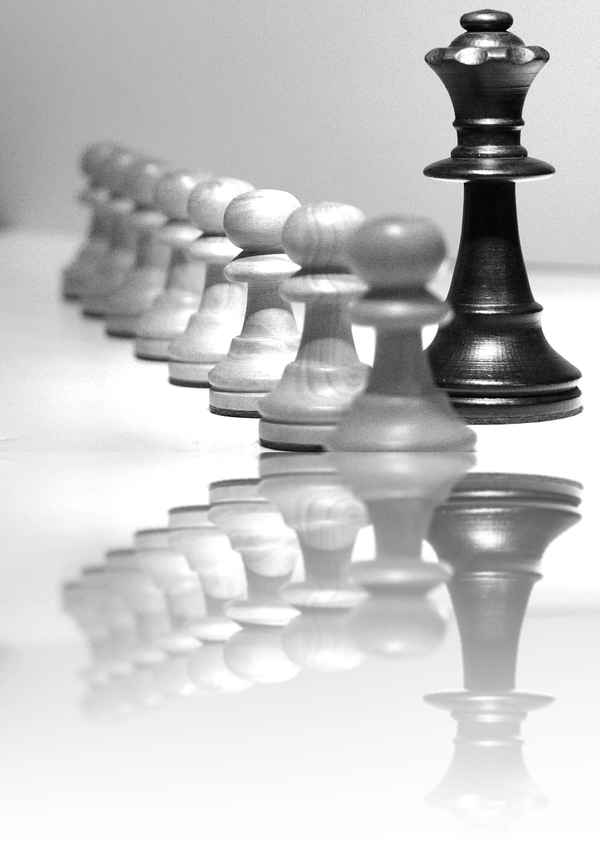 alle sind gleich - einige sind gleicher I