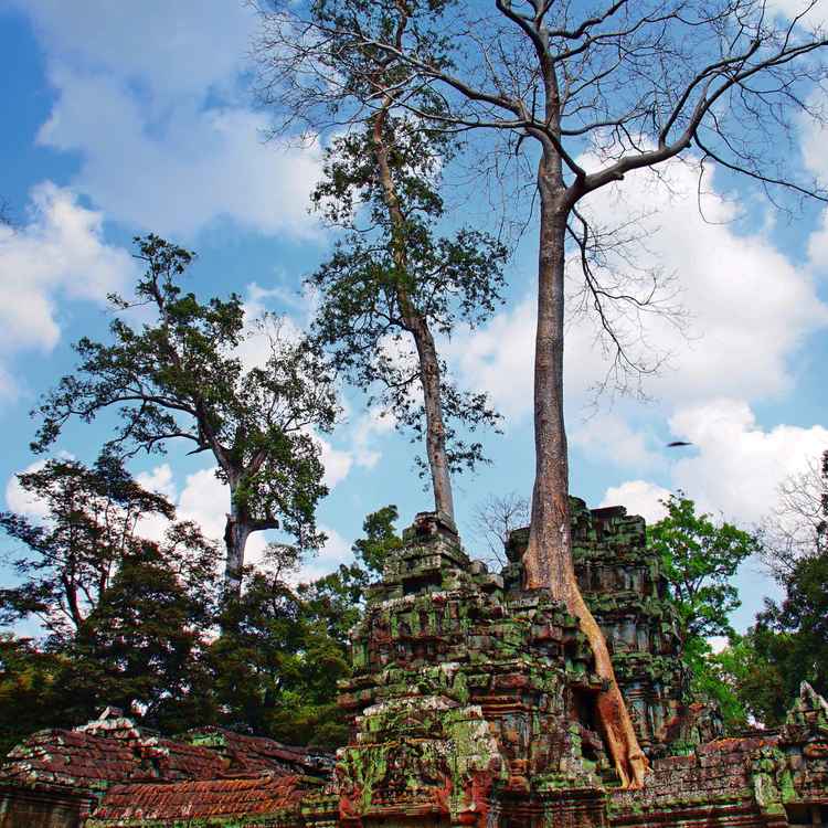 Khmer-Tempel
