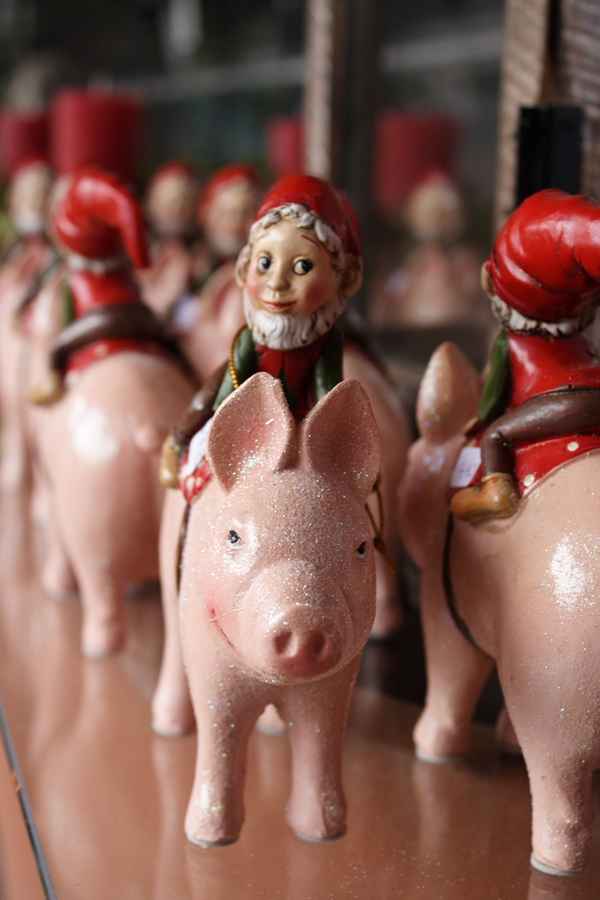 Der Kampf gegen die Schweinegrippe
