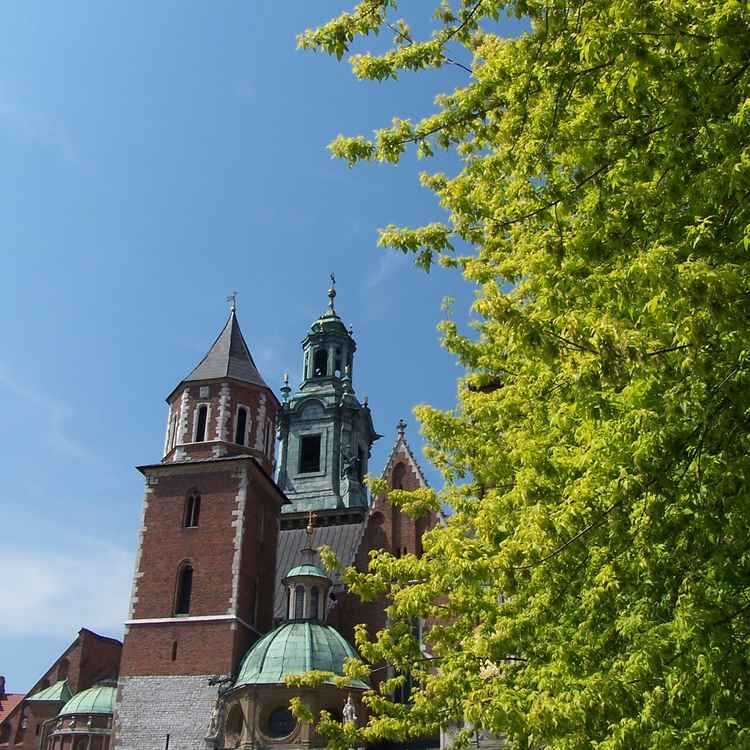 Wawel in Krakau