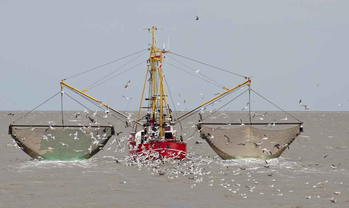 Krabbenfischer bei der Arbeit