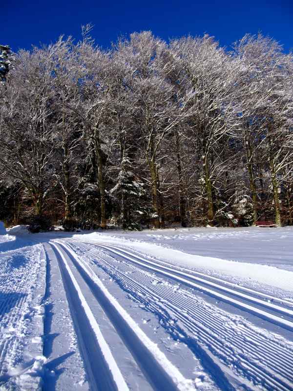 Langlauf in Wald und Feld