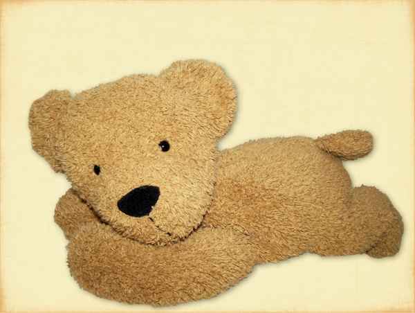 Ein brauner Kuschelbär