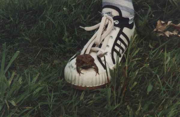 "LEBEN AUF GROSSEM FUSS"