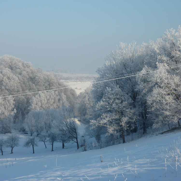 Winterlandschaft im Hainicher Umland 3