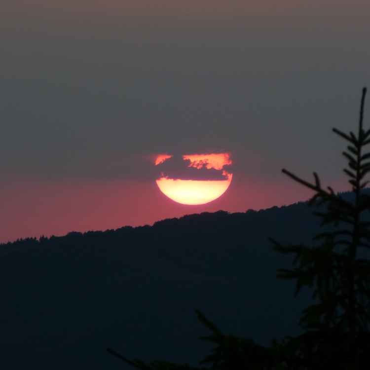 Sonnenuntergang im Harz