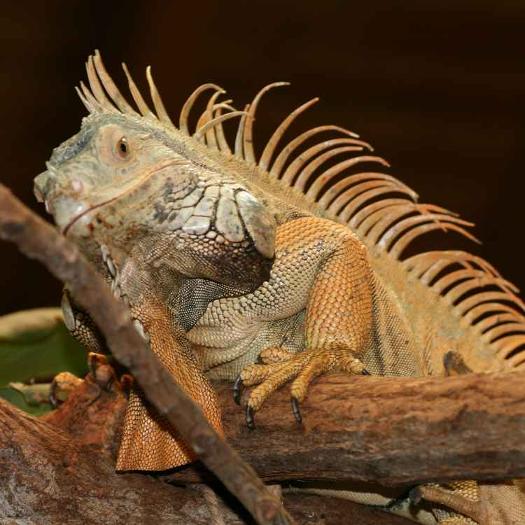neulich im Zoo 3