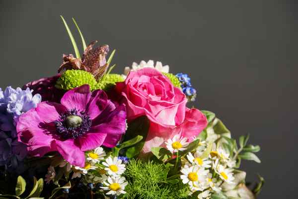 Blumen des Frühlings