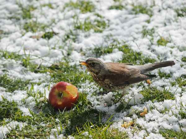 mittagspause