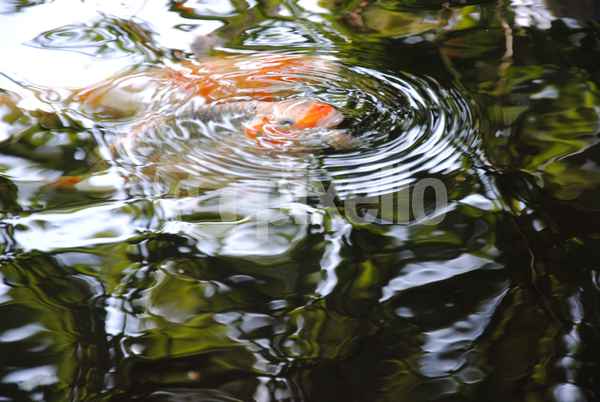 Wasserspiel