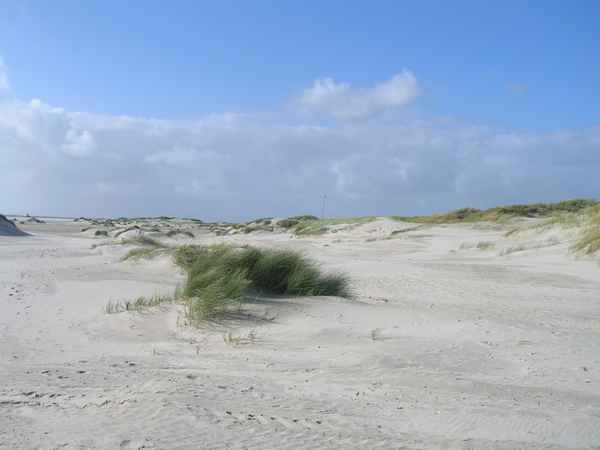 Dünenlandschaft Amrum
