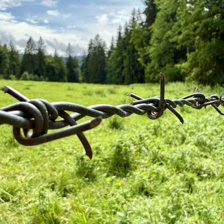 Brettlwiesweg an der Wieskirche