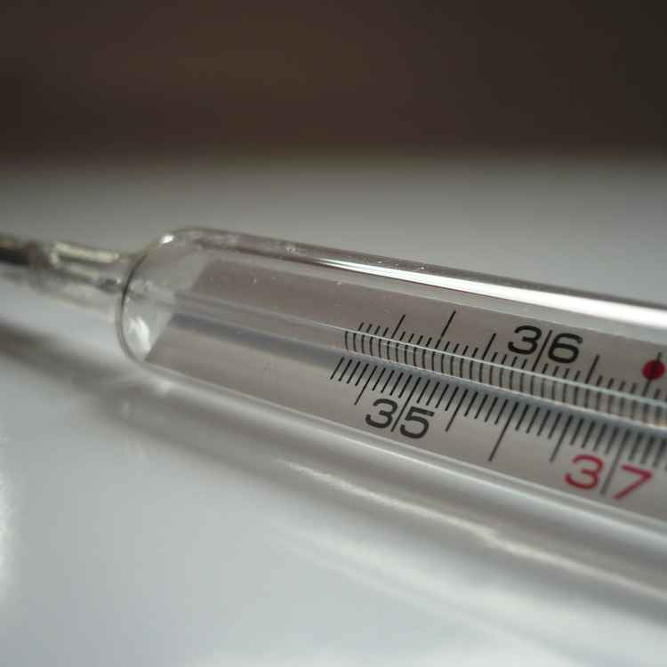 Sechsundreißig Grad...