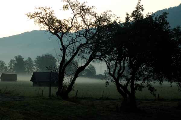 Herbstmorgen