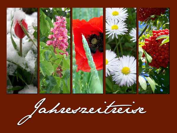 Jahreszeitreise