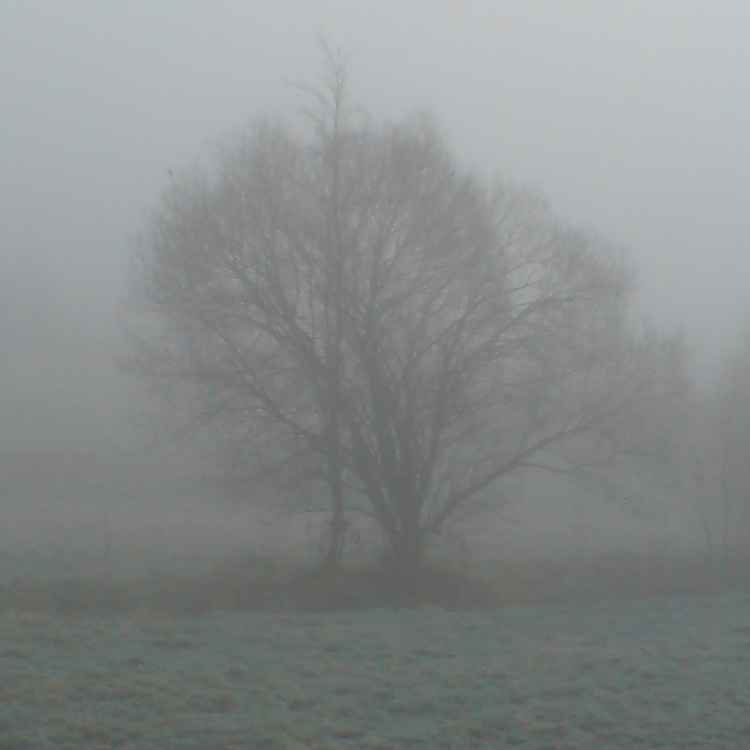 Winter in Hohenmölsen