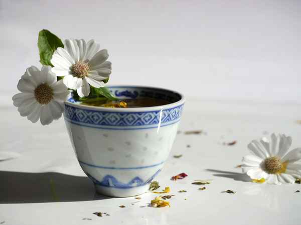 Tea-Time . . .