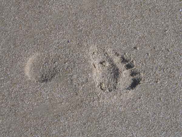Fußabdruck im Sand