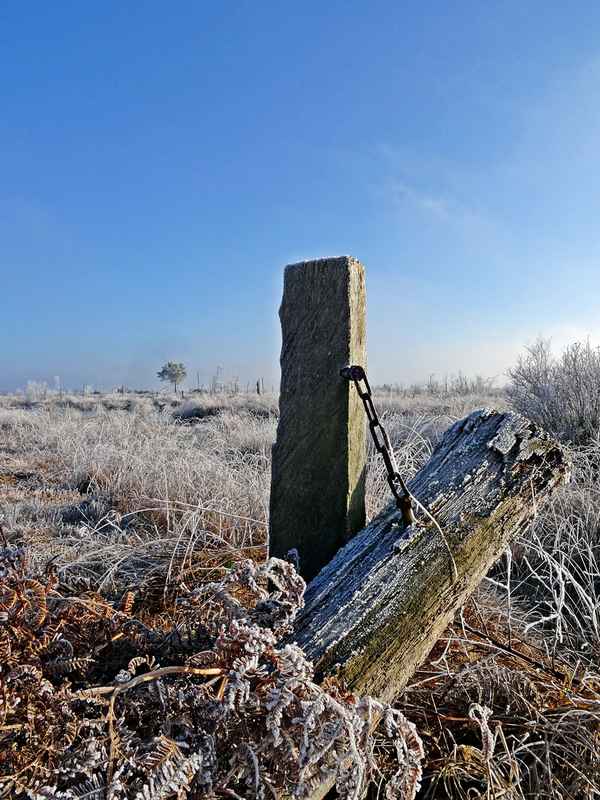 Wintermorgen
