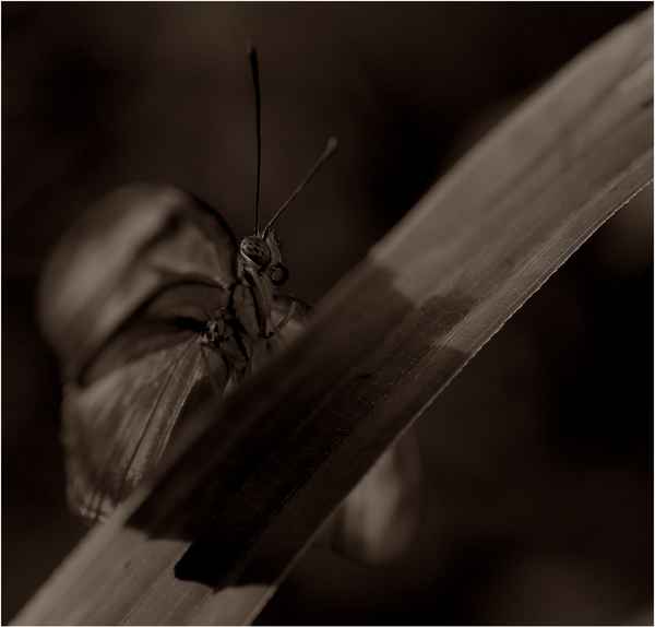 >!< in unbunt ;-)