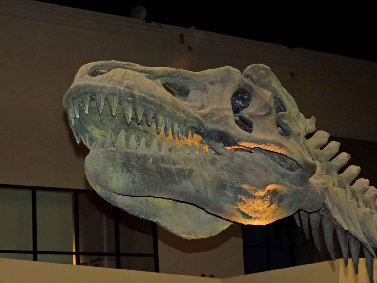 Sirindhorn Museum, Kalasin Thailand