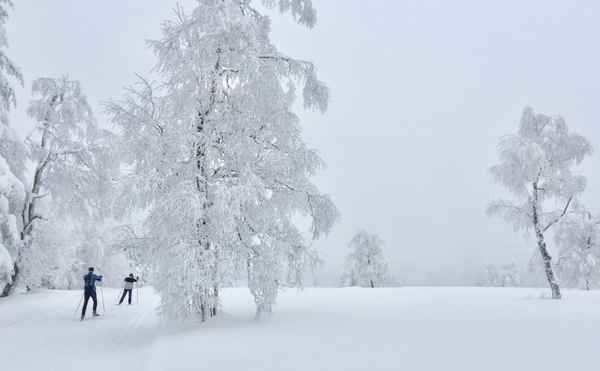 Winterlandschaft mit Langlaeufern