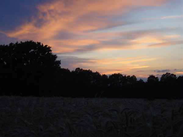 Abend